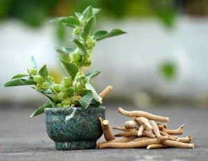 تأثیر آشواگاندا بر کاهش استرس و افزایش تستسترون در مردان