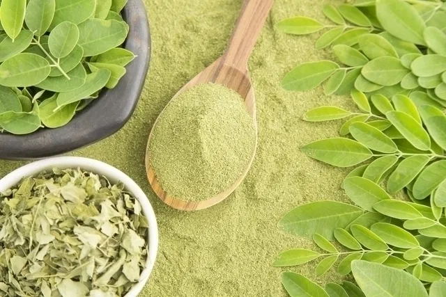 خواص مورینگا چیست؟